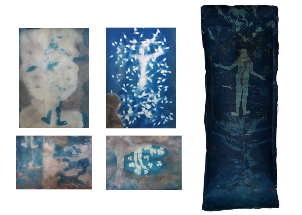 I want to Strengthen my Spine